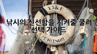 낚시의 신선함을 지켜줄 쿨러 선택 가이드
